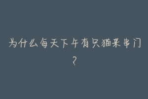为什么每天下午有只猫来串门?-动物百科