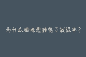 为什么猫咪想睡觉了就很乖?-动物百科