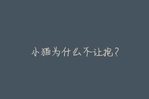 小猫为什么不让抱?-动物百科