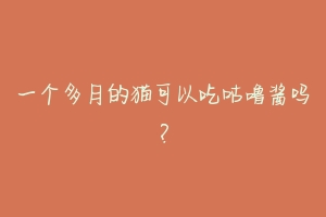 一个多月的猫可以吃咕噜酱吗?-动物百科