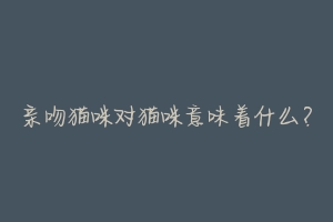 亲吻猫咪对猫咪意味着什么?-动物百科
