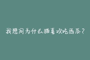 我想问为什么猫喜欢吃西瓜?-动物百科