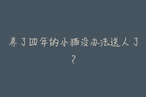 养了四年的小猫没办法送人了?-动物百科
