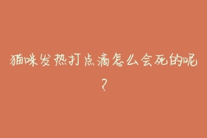 猫咪发热打点滴怎么会死的呢?-动物百科