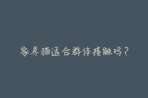 家养猫适合群体接触吗?-动物百科