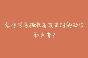 怎样形容猫准备攻击时的动作和声音?-动物百科
