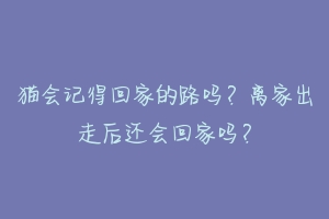 猫会记得回家的路吗?离家出走后还会回家吗?-动物百科
