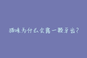 猫咪为什么会露一颗牙齿?-动物百科