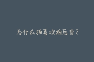 为什么猫喜欢拍后背?-动物百科