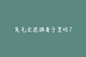 兔毛会进猫鼻子里吗?-动物百科