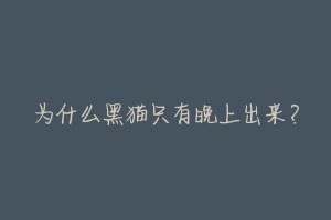 为什么黑猫只有晚上出来？-动物百科