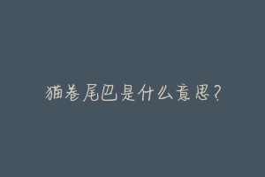 猫卷尾巴是什么意思？-动物百科
