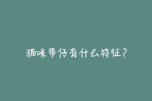 猫咪带仔有什么特征？-动物百科