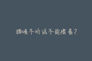 猫咪不听话不能惯着？-动物百科