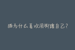 猫为什么喜欢用脚蹭自己?-动物百科