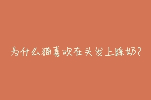 为什么猫喜欢在头发上踩奶?-动物百科
