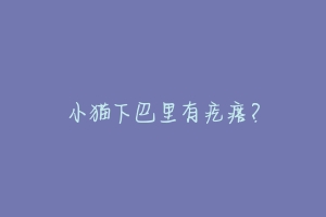 小猫下巴里有疙瘩?-动物百科