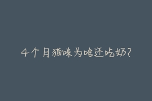 4个月猫咪为啥还吃奶?-动物百科