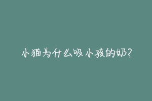 小猫为什么吸小孩的奶?-动物百科