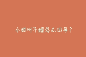 小猫叫不醒怎么回事?-动物百科