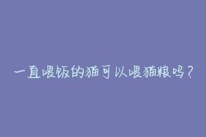 一直喂饭的猫可以喂猫粮吗?-动物百科