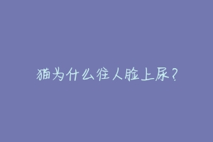猫为什么往人脸上尿?-动物百科