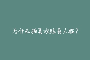 为什么猫喜欢贴着人脸?-动物百科