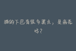 猫的下巴有很多黑点,是病态吗?-动物百科