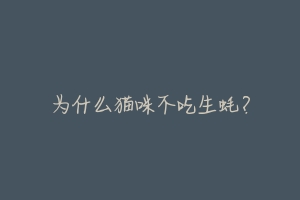 为什么猫咪不吃生蚝?-动物百科