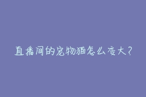 直播间的宠物猫怎么变大?-动物百科