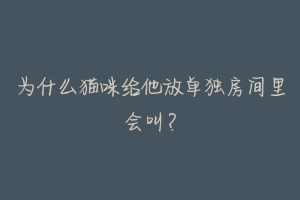 为什么猫咪给他放单独房间里会叫?-动物百科