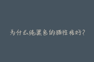 为什么纯黑色的猫性格好?-动物百科