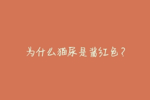 为什么猫尿是酱红色?-动物百科