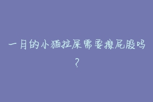 一月的小猫拉屎需要擦屁股吗?-动物百科
