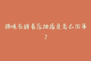 猫咪在睡着后抽搐是怎么回事?-动物百科