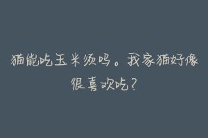 猫能吃玉米须吗。我家猫好像很喜欢吃?-动物百科