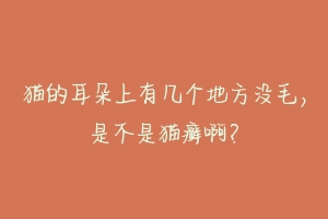 猫的耳朵上有几个地方没毛,是不是猫癣啊?-动物百科