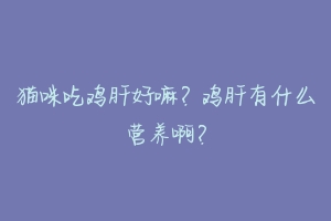 猫咪吃鸡肝好嘛?鸡肝有什么营养啊?-动物百科