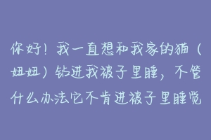 你好!我一直想和我家的猫(妞妞)钻进我被子里睡,不管什么办法它不肯进被子里睡觉?-动物百科