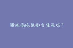 猫咪偷吃辣椒会辣死吗?-动物百科