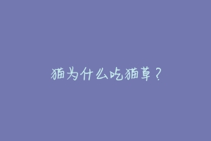 猫为什么吃猫草？-动物百科