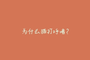 为什么猫打呼噜？-动物百科