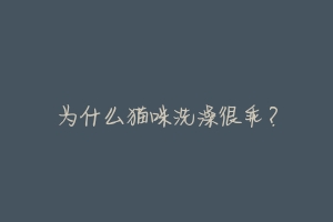 为什么猫咪洗澡很乖？-动物百科
