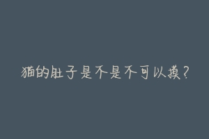 猫的肚子是不是不可以摸？-动物百科