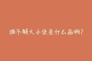 猫不解大小便是什么病啊？-动物百科