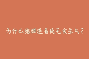 为什么给猫逆着梳毛会生气？-动物百科