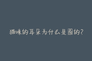 猫咪的耳朵为什么是圆的？-动物百科