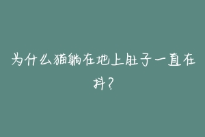 为什么猫躺在地上肚子一直在抖？-动物百科