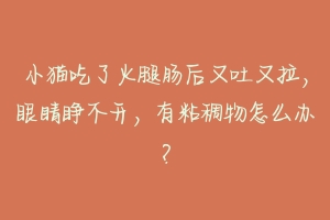 小猫吃了火腿肠后又吐又拉,眼睛睁不开,有粘稠物怎么办?-动物百科