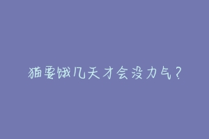 猫要饿几天才会没力气?-动物百科